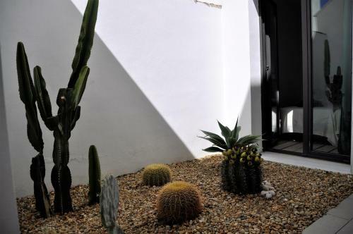 Apartamento Macenas Cactus Hill