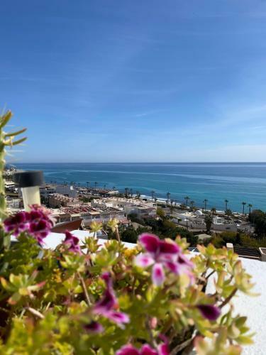 Apartamento Residencial Oasis 4