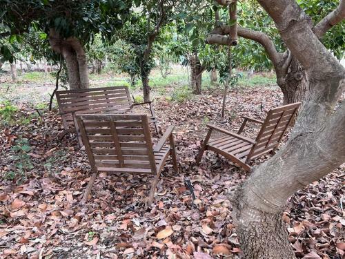Apartamento Sunny Carmelito Deluxe