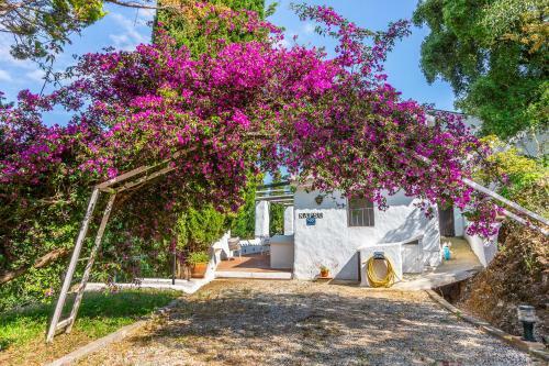 Agroturismo Casa Napsu