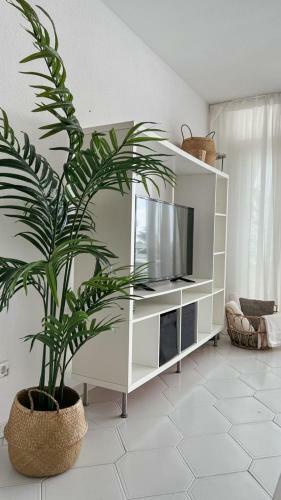 Apartamento Miraflores Beach - Sea Front - Luxury