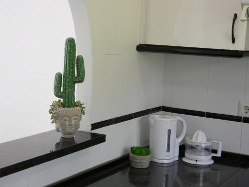 Apartamento Playa Mijas