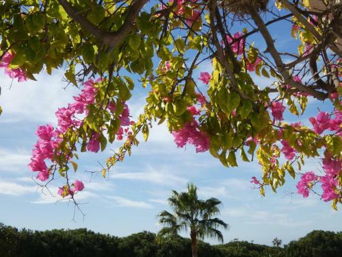 Apartamento Playa Mijas