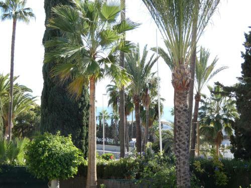 Apartamento Playa Mijas