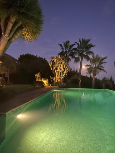 Villa Finca Lechuza