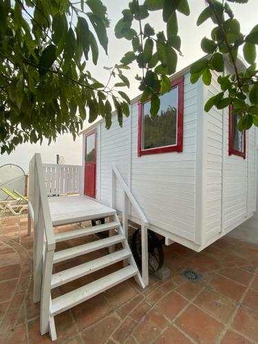 Lola Casita