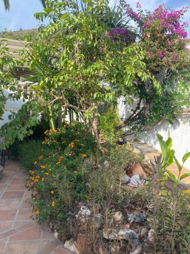 Lola Casita