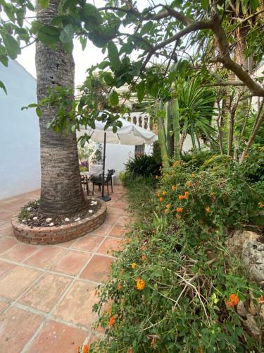 Lola Casita