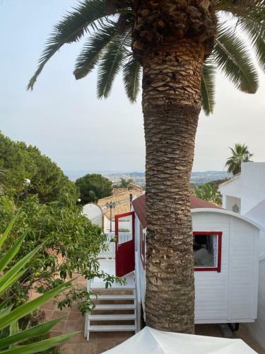 Lola Casita