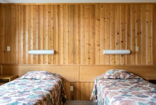 Lodge Pine Bungalows