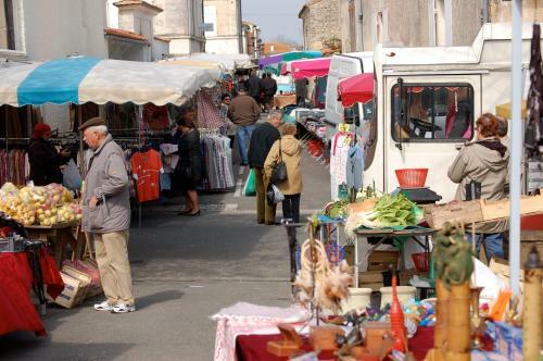 Bed & Breakfast La Maison Des Grands Bambous