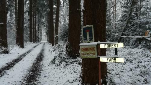 Bed & Breakfast Forest Farm