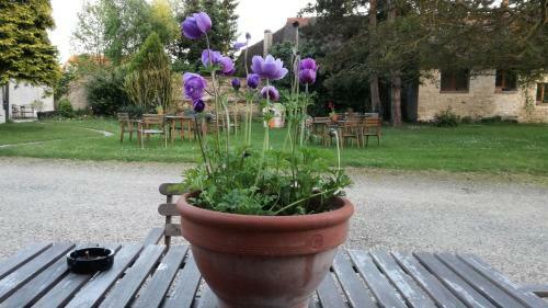 Bed & Breakfast Forest Farm