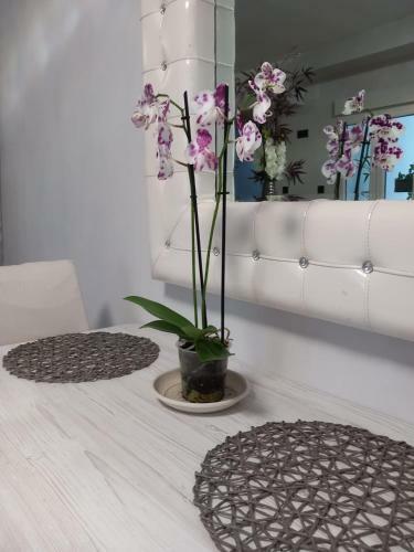 Apartamento Suite Con Jacuzzi De La Haya, Junto Al Teatro Romano