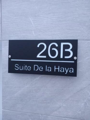 Apartamento Suite Con Jacuzzi De La Haya, Junto Al Teatro Romano
