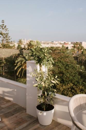 Melilla Centro Hotel ***