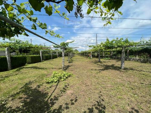 Apartamento Villa Regueiro Da Vila