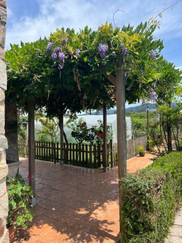 Apartamento Villa Regueiro Da Vila