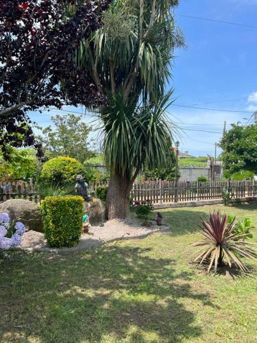 Apartamento Villa Regueiro Da Vila