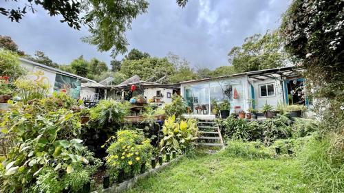 Pura Vida Finca Paraiso