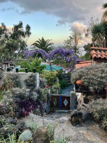 Pura Vida Finca Paraiso