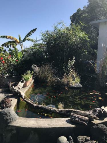 Pura Vida Finca Paraiso