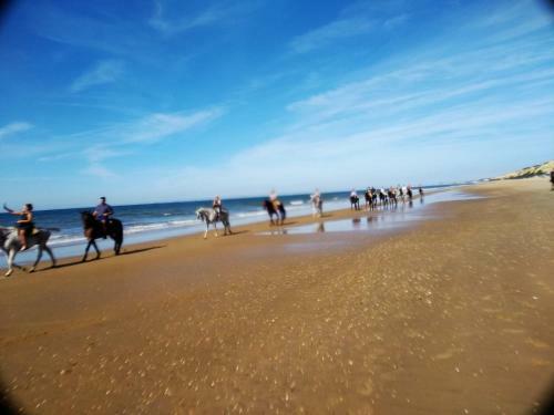 Apartamento A Pie De Playa En Mazag�n