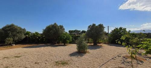 Bed & Breakfast Ca Na Sareta Petfriendly