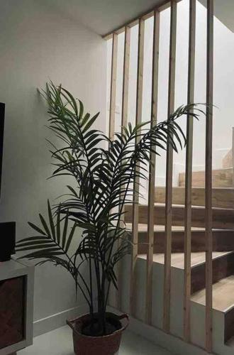 Family Apartment With Pool In Maspalomas