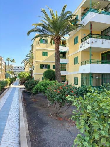 Apartamento Las Olas 214