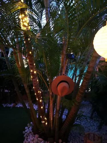 Wohlf�hloase In Maspalomas
