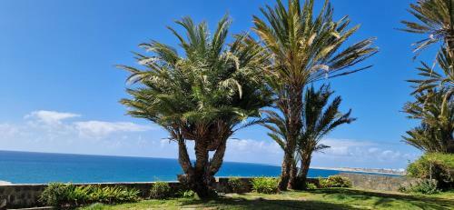 Apartamento Monte Del Moro Sea Front View