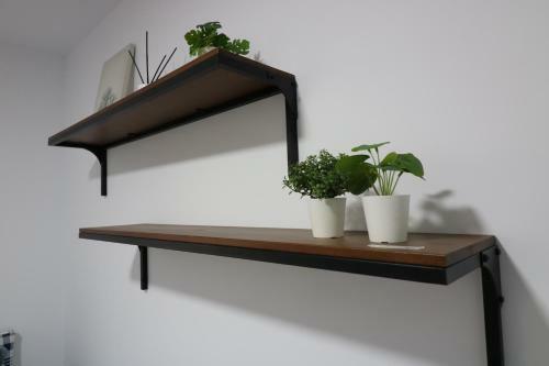 Lovelly Renovated Apartment