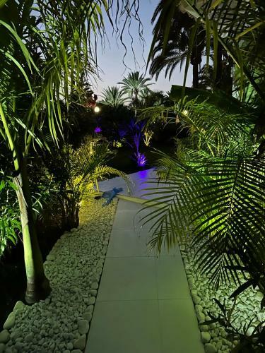 Sun Club P65 Premium Bungalow