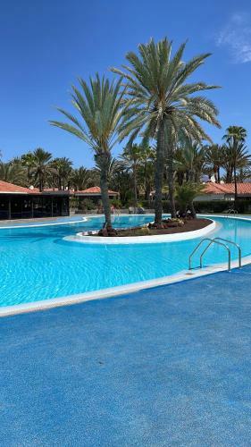 Sun Club P65 Premium Bungalow
