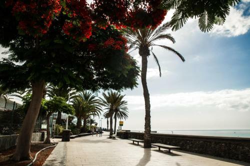 Apartamento Playa Del Ingl�s Easy Relax Accommodation