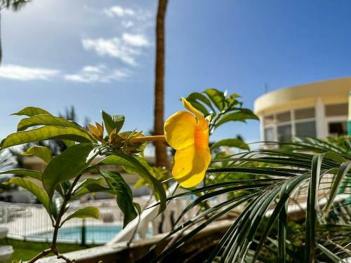 Apartamento Cerca De La Playa