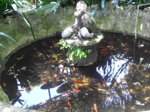 Apartamento Vila Libania
