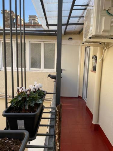Apartamento Barri Vell 4