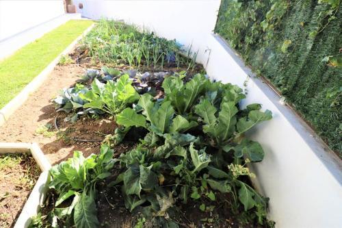 Hoyo 19