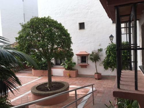 Apartamento Large And Elegant In Puerto Banus With Pools And Paddle