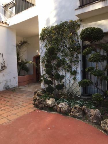 Apartamento Large And Elegant In Puerto Banus With Pools And Paddle