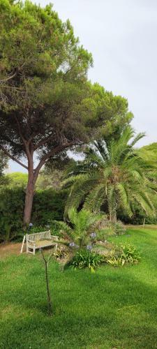 Agroturismo Cortijo Correa