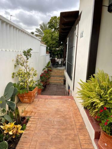 Apartamento Loft Familiar En La Playa