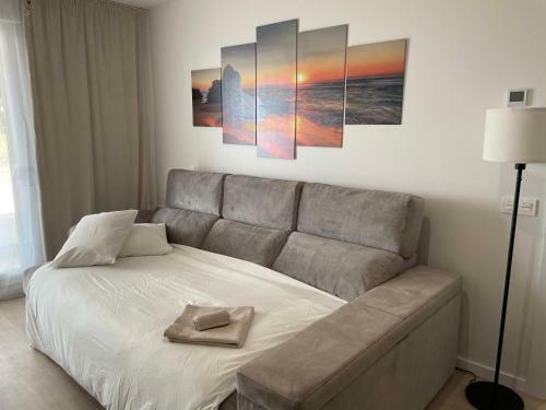 Brand New Apartment With Gym&rooftop Pool.