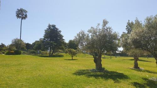 Apartamento Torres De Aloha 2 Bdr Puerto Banus