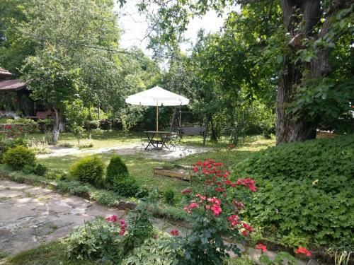 Hostal Vitanova Guest House