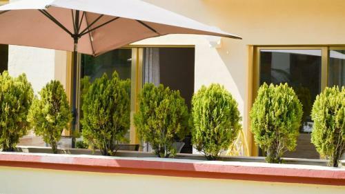 Apartamentos Romana Playa 203