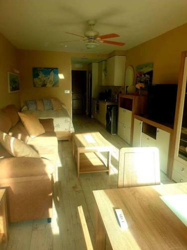 Precioso Estudio Con Piscina A 200m Del Mar