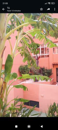 Fant�stico Apartamento Vft Ma 75455
